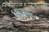 Anfibios y Reptiles - Vivir en Pinoso · 2017-12-04 · ción de especies de flora y fauna en nuestro municipio y la posterior publi-cación de dichas actividades en la primera edición