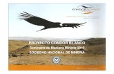 PROYECTO CONDOR BLANCO Proyecto Condor Blanc… · Desafíos en el sector Existentes o en desarrollo: • Mantener – ampliar acceso a Mercado para minerales de P&MM y otros productos