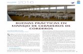 BUENAS PRÁCTICAS EN MANEJO DE CEBADEROS DE · 2018-04-20 · daciones y referencias recogidas en el Manual de Buenas Prácticas en Cebaderos de Corderos. Dentro de los aspectos de