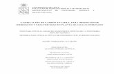 GASIFICACIÓN DE CARBÓN EN CHILE, PARA OBTENCIÓN DE ...repositorio.uchile.cl/tesis/uchile/2007/diaz_fa/sources/diaz_fa.pdf · transferencia de masa, fluidodinámica y transferencia