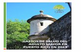 Gastos de Salud del Adulto Mayor en Puerto Rico en 2013 · GASTOS DE SALUD DEL ADULTO MAYOR EN PUERTO RICO EN 2013 GASTOS DE SALUD DEL ADULTO MAYOR EN ... 3.2.3 Identificación de