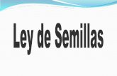 Hechos Relevantes en la Industriamejogeve/Semillas.pdf · Hechos Relevantes en la Industria de Semillas de Argentina - Ley de granos y elevadores = “Fomento a la Genética” 1935