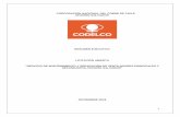 CORPORACIÓN NACIONAL DEL COBRE DE CHILE DIVISIÓN …w.codelco.cl/prontus_codelco/site/artic/20181122/asocfile/... · primarios y secundarios de la mina subterránea. El mantenimiento