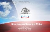SEMINARIO INTERNACIONAL DE CLAUSURA DE ...biocombustibles/Viviana Avalos...1 Biocombustibles en Chile Viviana Ávalos Ministerio de Energía Noviembre de 2011 SEMINARIO INTERNACIONAL
