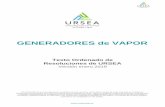 GENERADORES de VAPOR - Uruguay · 2020-02-18 · Generador de Vapor: Es un recipiente sometido a presión interna donde se produce vapor de agua a una presión superior a la atmosférica,