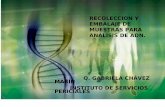 RECOLECCION Y EMBALAJE DE MUESTRAS PARA ANÁLISIS DE …fgjem.edomex.gob.mx/sites/fgjem.edomex.gob.mx/files/files... · 2019-09-27 · La presencia de líquido seminal o semen es