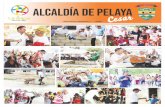 Alcaldía de Pelaya Cesar - Semanario La Calle · más las necesidades que hay en el municipio. Pelaya es un municipio de sexta categoría y no es productor de nada, pero desde el