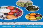 Manual de Buenas Prácticas Agrícolas...MANUAL DE BUENAS PRÁCTICAS AGRÍCOLAS 2 En la actualidad se puede observar que la sociedad muestra una creciente preocupación por la salud