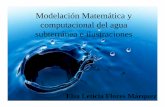Modelación Matemática y computacional del agua …mmc.geofisica.unam.mx/smc-2009/Archivos/ELFM.pdfDefiniendo la matemática es una colección de los intentos que matemáticos, científicos
