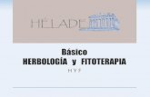 Básico HERBOLOGÍA y FITOTERAPIA€¦ · Breve historia de la Herbología Hipócrates creía que los seres humanos deben ser uno con la naturaleza y siempre vivir en armonía con