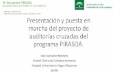 Presentación y puesta en marcha del proyecto de auditorías ...pirasoa.iavante.es/pluginfile.php/23600/mod_resource/content/24/Audit.pdfPresentación y puesta en marcha del proyecto