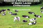 Situación y Perspectivas para el Sector Lácteo Costarricense · 2016-10-20 · Situación y Perspectivas para el Sector Lácteo Costarricense Dr. Carlos Pomareda XXII Congreso Nacional