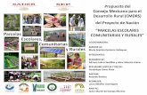 Propuesta del Consejo Mexicano para el Desarrollo Rural ......2022-2023 Organoponia 2023-2024 Conservación de alimentos . ESTUDIANTES DE SECUNDARIA Curso Nutrient Film Technique (NFT)