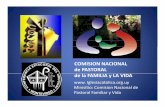 COMISION NACIONAL de PASTORAL dlde la FAMILIA y LA VIDA · 2012-09-28 · Mons. Carlos Simón Vázquez Sub-secretario del PCF – 10 de junio de 2011 “Esta pastoral NO ES SECTORIAL…