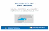 Provincia de Río Negro - Observatorio · En la Provincia de Río Negro se localizan cua-tro CEPLAS, ubicados en las localidades de Bariloche, Villa Regina, Beltrán y General Roca,