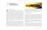 Phthiriasis yy Melofagosis - produccion animalproduccion-animal.com.ar/sanidad_intoxicaciones... · ectoparasitosis tales como la Sarna Psoróptica y la Melofagosis (Nuñez y Moltedo,