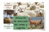 Situación de mercado del ovino y - Agro-alimentariasCENSOS OVINO 10.000,00 15.000,00 20.000,00 25.000,00 Título del eje Censo de ovino UE-27 2013 1º REINO UNIDO 38,5% 2º ESPAÑA