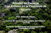 Árboles de Panamá Con Énfasis en la Península de Azueroproecoazuero.org/wp-content/uploads/2011/03/... · - Para uso medicinal y en la elaboración de compuestos químicos utilizados