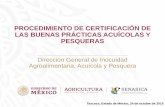 Presentación de PowerPoint - gob.mx€¦ · Certificados vigentes por la implementación de las Buenas Prácticas de Manufactura en el Procesamiento Primario ESTADO CERTIFICADO Baja
