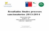 Resultados finales procesos sancionatorios 2014 WEB/1... · requerimientos técnicos de la Norma Chilena Oficial Nº 2907/2005, de acuerdo a la especificación de “leña seca”,..()