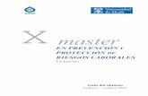 Y DE RIESGOS LABORALES · 2018-12-03 · X Máster en Prevención y Protección de Riesgos Laborales Guía del alumno OISS – Organización Iberoamericana de la Seguridad Social