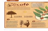 INFOGRAFÍA LaRuta del café EL CAFETOred.ilce.edu.mx/sitios/tabletas/familia/Infografia_Cafe.pdfEL CAFETO CULTIVO Es un arbusto que pertenece a la familia de las rubiáceas, originario