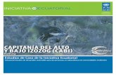 CAPITANÍA DEL ALTO Y BAJO IZOZOG (CABI)...TABLA DE CONTENIDO Antecedentes y Contexto 4 Impactos en la Biodiversidad 6 Impactos Socioeconómicos 7 Sostenibilidad 8 Alianzas 9. 4 ...