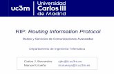 RIP: Routing Information Protocol - Academia Cartagena99 · 2017-10-28 · 3 Protocolos de encaminamiento El incremento de tamaño de las redes hace más necesaria la utilización