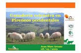 Ganaderia extensiva en Pireneos occidentalesgis-id64.org/wp-content/uploads/2018/05/2.5.5.pdf · quimica • la resistencia a enfermedades (scrapie) y el parasitismo • Pero: este