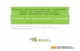 PROCESO DE PARTICIPACIÓN - Aragonaragonparticipa.aragon.es/sites/default/files/2017/PLAN... · Web viewpretende ser el instrumento director de la política forestal de la Comunidad