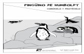 PINGÜINO DE HUMBOLDT - Acorema · El tiempo de vida del pingüino de Humboldt es de 50 años. ( ) La anchoveta y el pejerrey no son el alimento del pingüino de Humboldt. ( ) Los
