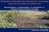 Tendencias de elevación del nivel del mar y su impacto ... · • Inventarios de C org ampliamente variables entre las áreas de estudio • Comparables con manglares en otros sitios