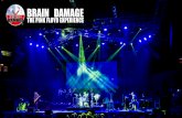 BRAIN DAMAGEbraindamage.cl/dossier-brain-damage-2019.pdf · HISTORIA Brain Damage es una banda tributo formada el año 2001, que se ha consolidado como Pink Floyd en Chile y reconocida