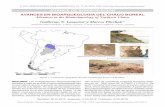Avances en bioarqueología del Chaco boreal - buscador de … · 2015-12-07 · territorio que supera el millón de kilómetros cuadra-dos. Se ubica en la porción centro-sur del
