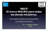 MSCF El MACRO para todas las demás iniciativas. · 2016-07-13 · • Ley de Creación del Programa Nacional de Salud Sexual y Procreación Responsable, 25.673.(año 2003) • Ley