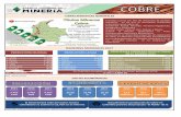 CARACTERISTICAS GENERALES - ANMmineriaencolombia.anm.gov.co/images/Presentaciones/FICHA-MINE… · Colombiano - SGC, se identifican 49 depósitos cupriíferos tipo pórfidos, sulfuros