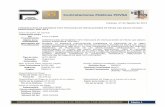 Contrataciones Públicas PDVSAcamarapetroleramonagas.com/documentos/nTwZcHBRGioendSMD1… · alcance del servicio: pdvsa gas s.a., se ha propuesto la contrataciÓn de “servicio