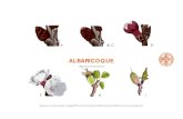 ALBARICOQUE - Viveros Orero · materias activas con acciÓn insecticida, molusquicida, rodenticida autorizadas en albaricoquero materia activa modo de acciÓn (irac) selectividad