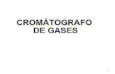 SCHEMATIC OF GAS CHROMATOGRAPH - [DePa] Departamento …depa.fquim.unam.mx/amyd/archivero/CG2_30173.pdf · Detector Gas Portador Conductividad Helio. Térmica(TC) Ionización de Nitrógeno