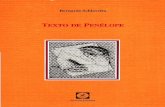 Texto de Penélope - Bernardo Schiavetta · trabajo de Penélope quees unaspecto esencial de mi escritu ra, y cuyo origen remonta a la reescritura de los fragmentos, más o menos