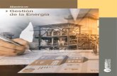 Maestría en Gestión de la Energía...2017/07/12  · Liderazgo y comportamiento organizacional Análisis del sector energía en el contexto iberoamericano TOTAL MÓDULO I 1.5 1.5