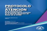PROTOCOLO ATENCIîN - BINASSS, BIBLIOTECA DE SALUD ... · Protocolo para la Atención de la Persona con Enfermedad Renal Crónica en la Red de Servicios de Salud de la Caja Costarricense