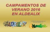 ALDEALIX está gestionada por Moontree Gestión S.L. · 2016-06-02 · Futbolin Humano Gymkhana Campeonato circense Caracterizaci on y disfraces 20’00 DUCHA 21’00 CENA 22’00