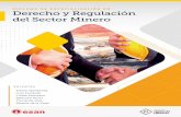 Brochure Derecho y regulación en el sector minero€¦ · desempeñan en áreas vinculadas al derecho minero, y que forman parte del proceso en la toma de decisiones en instituciones