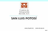 SAN LUIS POTOSÍ - Gob · porcentajes en San Luis Potosí fueron: 15 a 19 años (38.8%) y 10 a 14 años (36.8%) Consumo de drogas “Alguna Vez en la Vida” en pacientes del CIJ