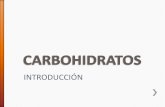 INTRODUCCIÓN - [DePa] Departamento de Programas …depa.fquim.unam.mx/amyd/archivero/3-CARBOHIDRATOS-1_31645.pdf · Pallares: Lima beans Olluco: Papa lisa (Ecuador y Perú) Oca y