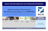 Instrumentos Financieros BCIE para apoyar a la MIPYME€¦ · Instrumentos Financieros del BCIE para apoyar a la MIPYME [II Diálogo Interamericano MIPYME – Organización de los
