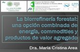 Dra. María Cristina Area · Xilitol Butanol 2,3-Butanodiol Productos de degradación de la xilosa Furfural Ácido levulínico . Productos que pueden obtenerse a partir de la lignina