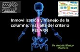 Inmovilización de la columna: más allá del criterio PECARN...Clinical clearance of the cervical spine in blunt trauma patients younger than 3 years: a multi-center study of the
