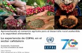 La experiencia de CEPAL en el sector cafetalero · 2018-11-29 · Guatemala, Guatemala 8 y 9 de noviembre de 2018 Diana Ramírez ... • En las regiones donde el café pierde drásticamente